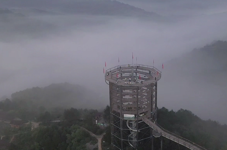 【见证vlog】陕西黄龙山国家森林公园 名副其实的天然氧吧和避暑胜地