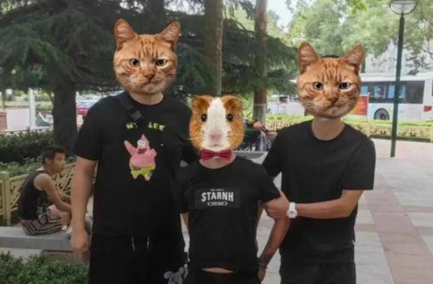 男子深夜潜入西京医院 盗窃陪护人员手机后被抓