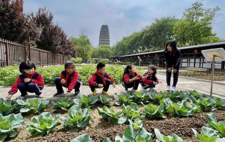 新学期来了劳动课来了！西安各校将咋安排？