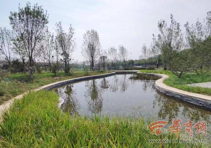 webwxgetmsgimg (10).jpg