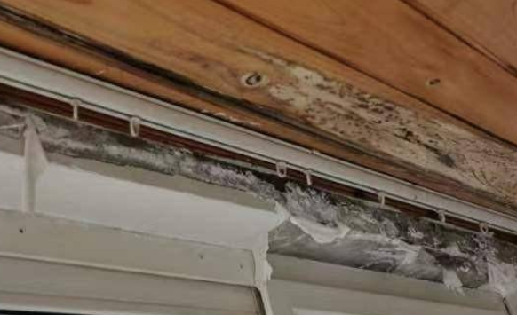 顶层漏雨近一年反映多次一直未维修 物业：这场雨后就维修