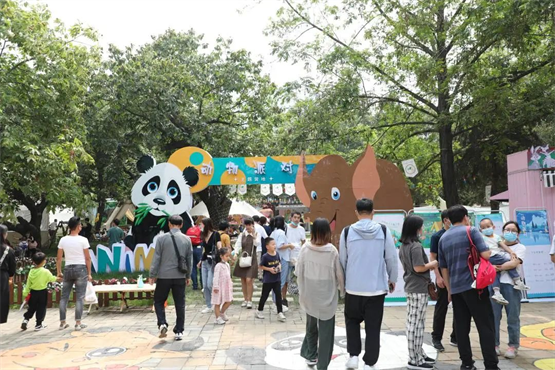图片 8.png