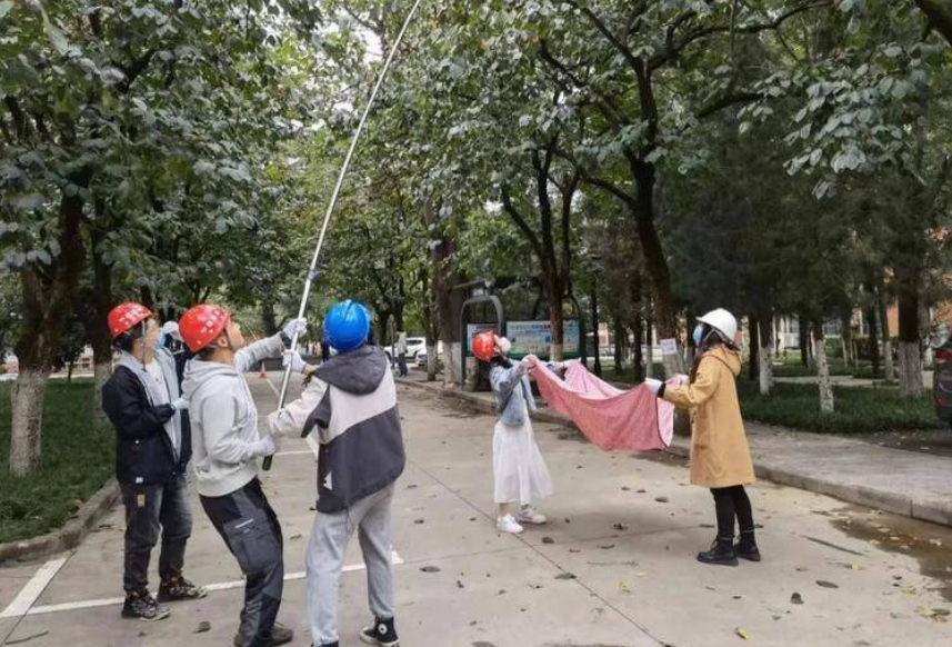 196.7g！西工大举办“柿王”争霸赛 13支队伍现场采摘