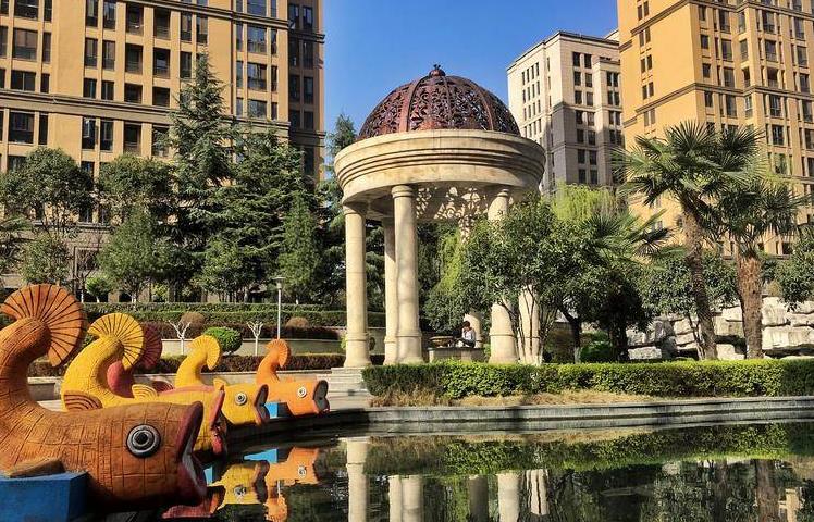 寻找小区最美角落|小区树木品种繁多 树木四季变化为小区更换着风景