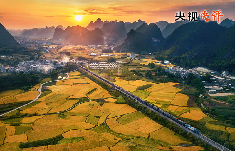 华商头条|【央视快评】在党的旗帜下团结成“一块坚硬的钢铁”
