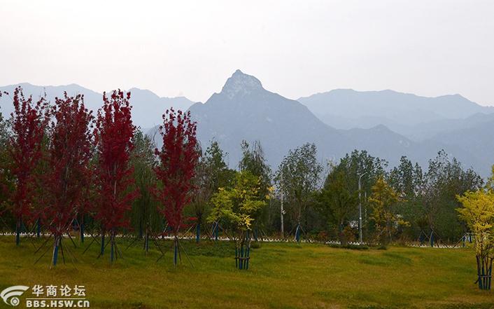 华商头条|骑行秦岭神水峪寻美景