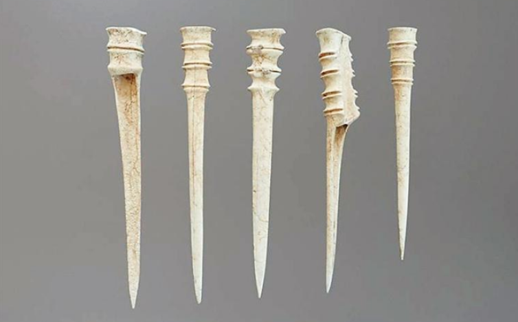 陕西考古又有重大发现！出土大量笄形骨器