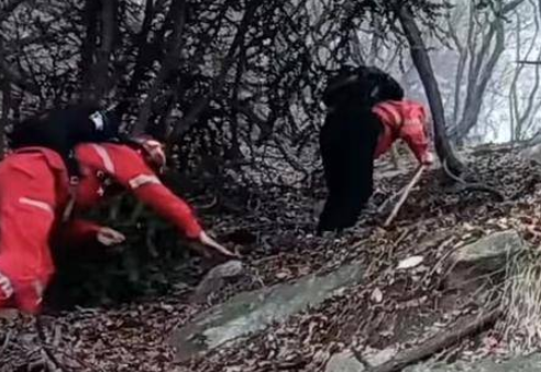 资深驴友秦岭紫阁峪失联3天后 救援队在一处崖下找其遗体