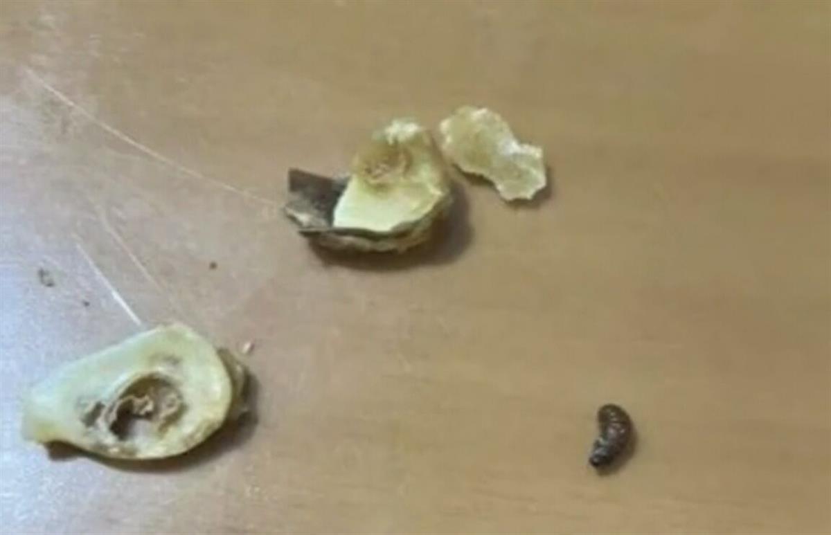 华商头条|女子自称在怪味胡豆里吃出虫子 厂家曾因产品不合格被罚2万元