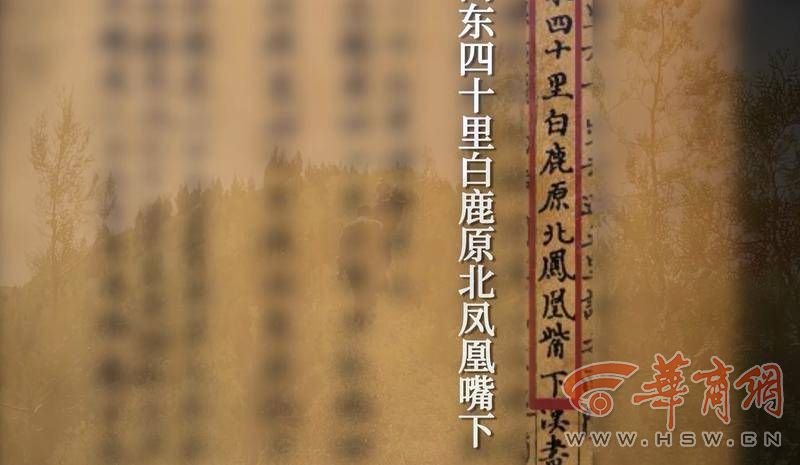 屏幕截图 2022-11-26 203452.jpg