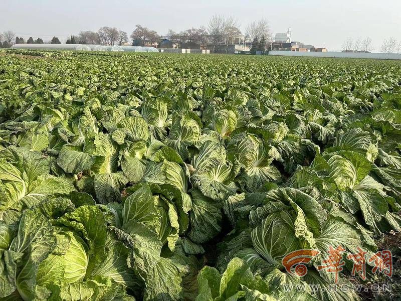 webwxgetmsgimg (98).jpg