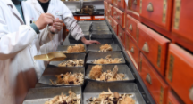 华商头条|《新冠病毒感染者居家中医药干预指引》发布