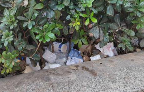 西安大学南路人行道上绿化带里藏垃圾影响环境 市民盼尽快清理