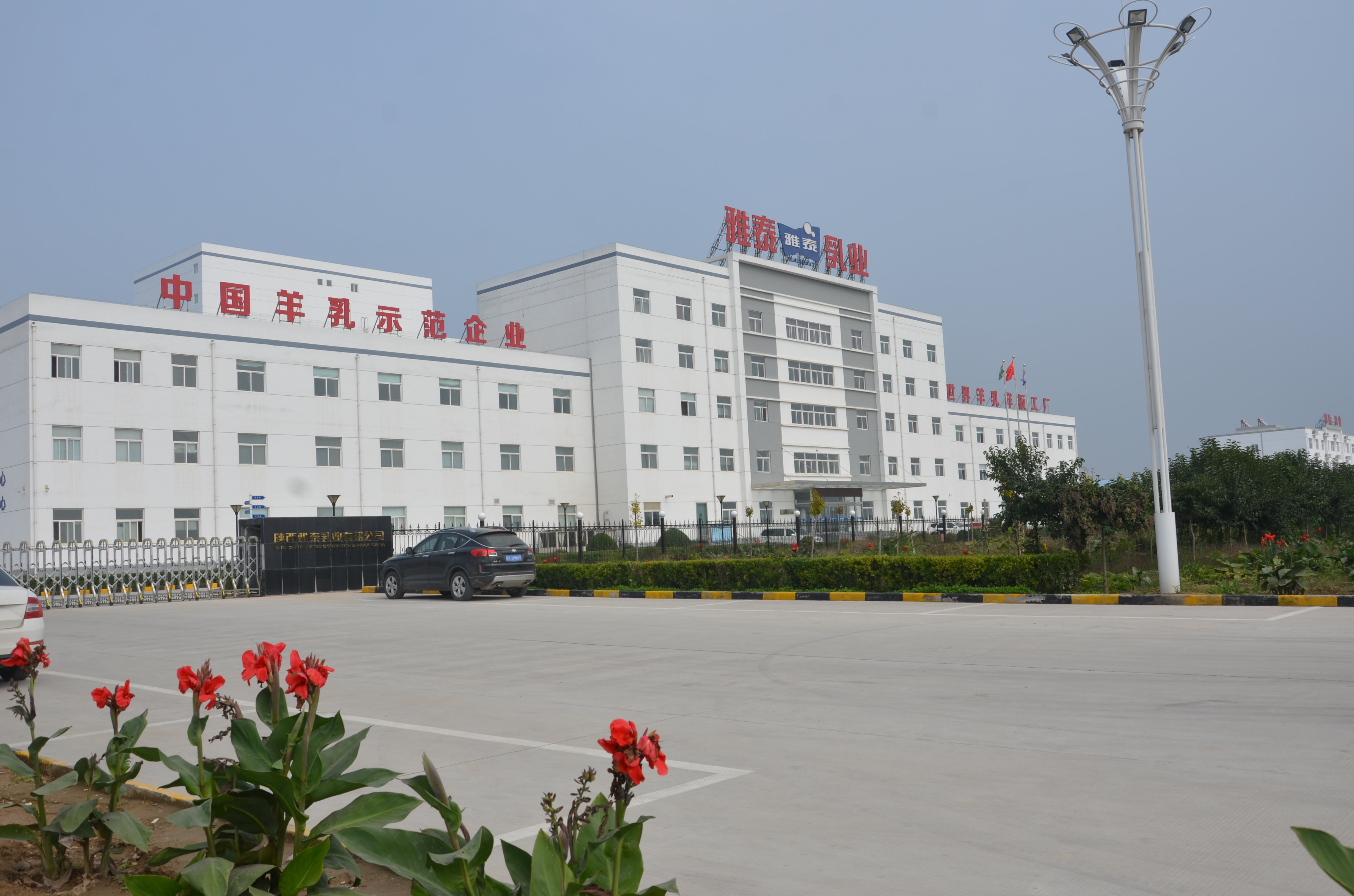 遇见咸阳·泾渭有约”网上主题线上宣传活动泾阳乳业