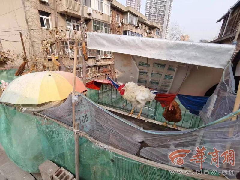 webwxgetmsgimg (2).jpg