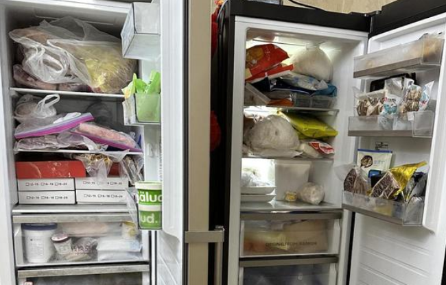 女子怕疫情形式严峻买俩冰箱囤货 还在郊区“囤”了块地
