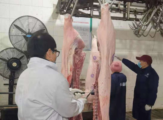 华商头条|西安高新区：加强农畜产品技术指导 确保春节期间稳产保供