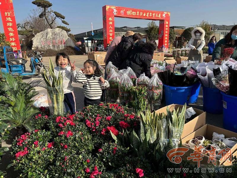 西安雁锦花卉市场图片
