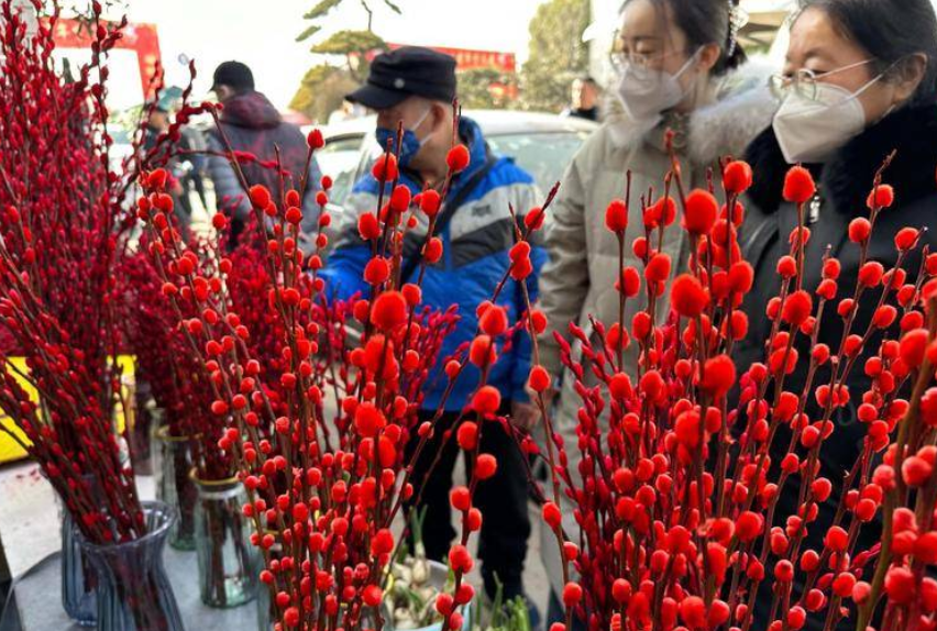 新春走基层·探访市场丨“花”样迎春节 西安各大花卉市场游人如织
