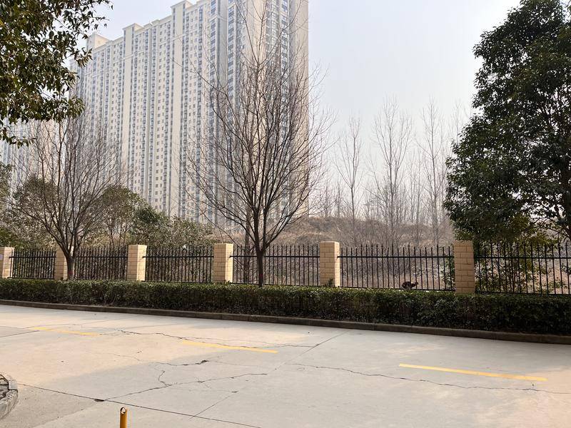 西安长安家园小区墙外空地无人管理成垃圾场 业主担心有安全隐患