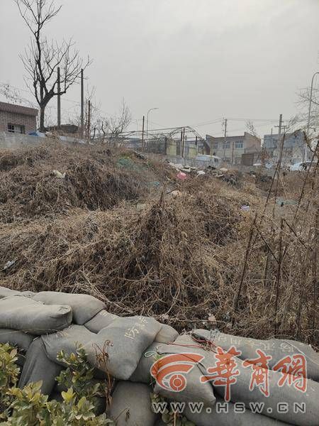 webwxgetmsgimg (1).jpg