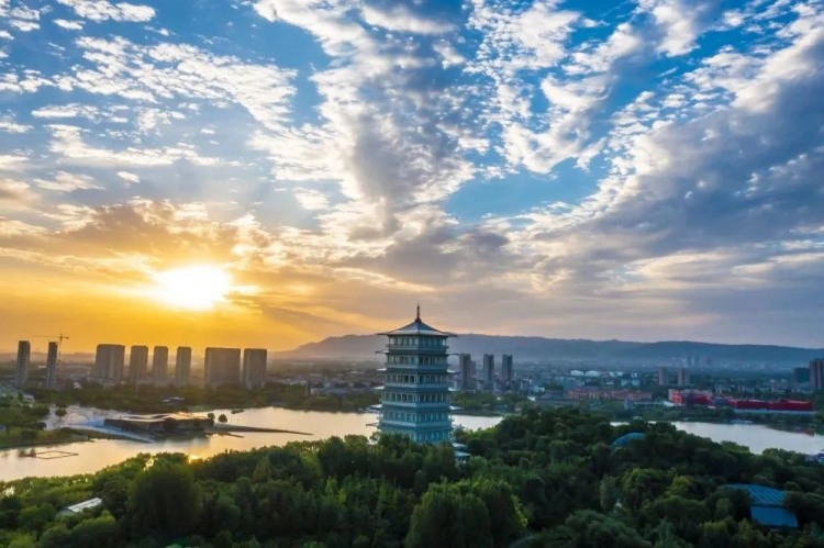 图片4