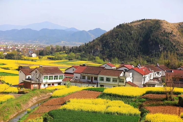 定了！2023中国最美油菜花海汉中旅游文化节将于3月中旬启幕