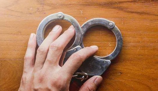 华商头条|西安市人民检察院工作报告：去年批捕各类犯罪3251人 起诉7070人