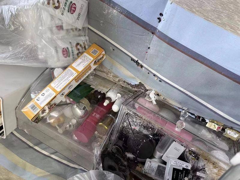 责任谁承担？水电翻新留“漏洞”10余只老鼠做窝居民家 房主称被啃坏物品损失8万元