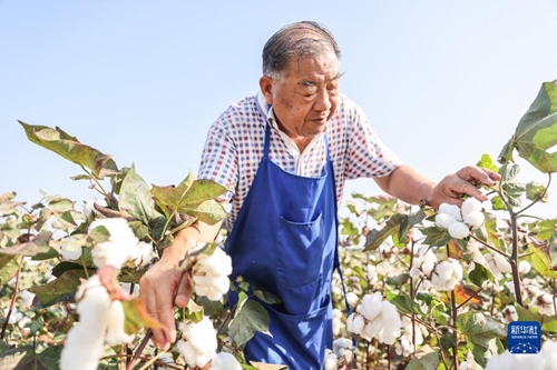 华商头条|育种人的薪火相传