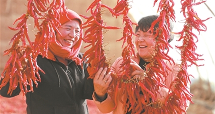 华商头条|“富”了脑袋 “鼓”了钱袋