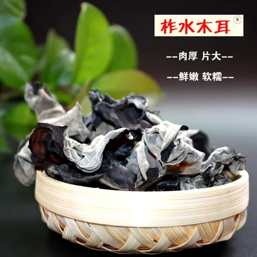 华商头条|住陕全国政协委员昝林森：建议完善“土特产”产业体系促进农民增收