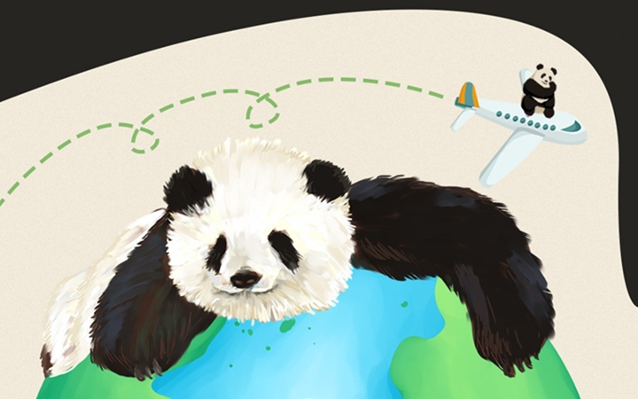 跨国出差的大熊猫都过得咋样？一图速览