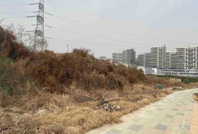 正建的浐灞第四学校暂停施工？教育局工作人员：统筹安排附近教育资源
