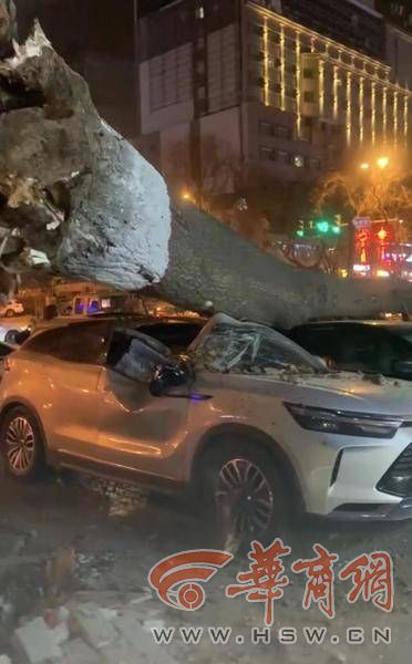 微信图片_20230324170506.jpg