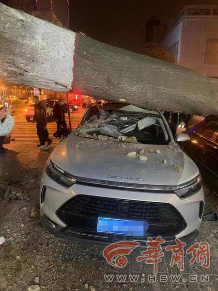 微信图片编辑_20230324170332.jpg