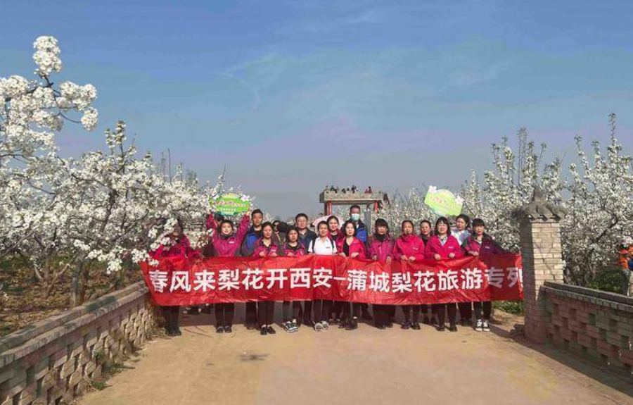 陕西首趟“梨花专列”开行 从西安到蒲城与春日撞个满怀