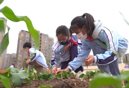 华商头条|劳动教育如何在家庭中“落地生根”?