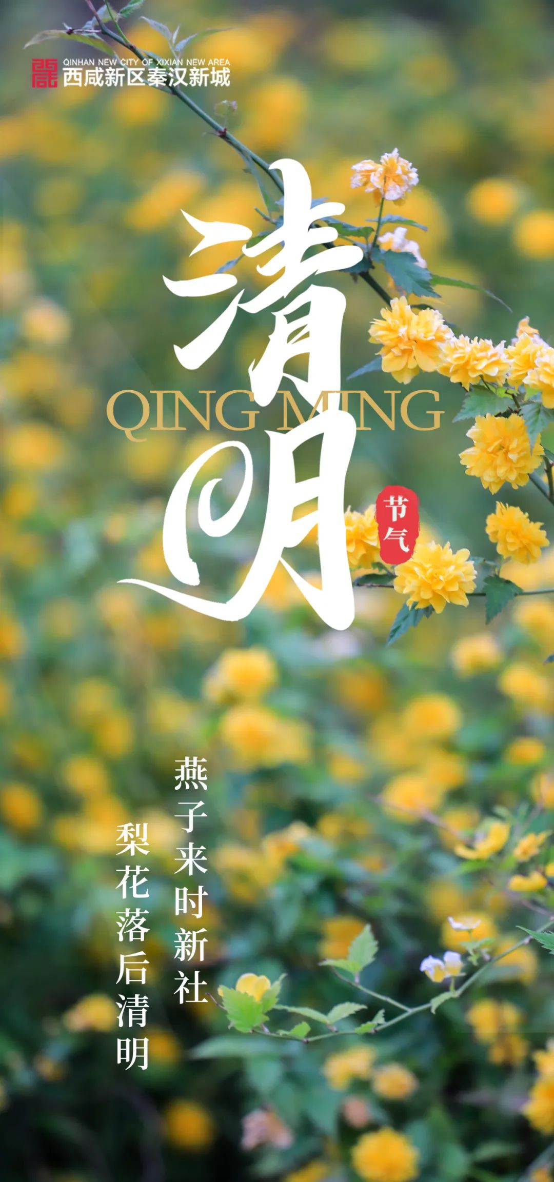 微信图片_20230406095029.jpg