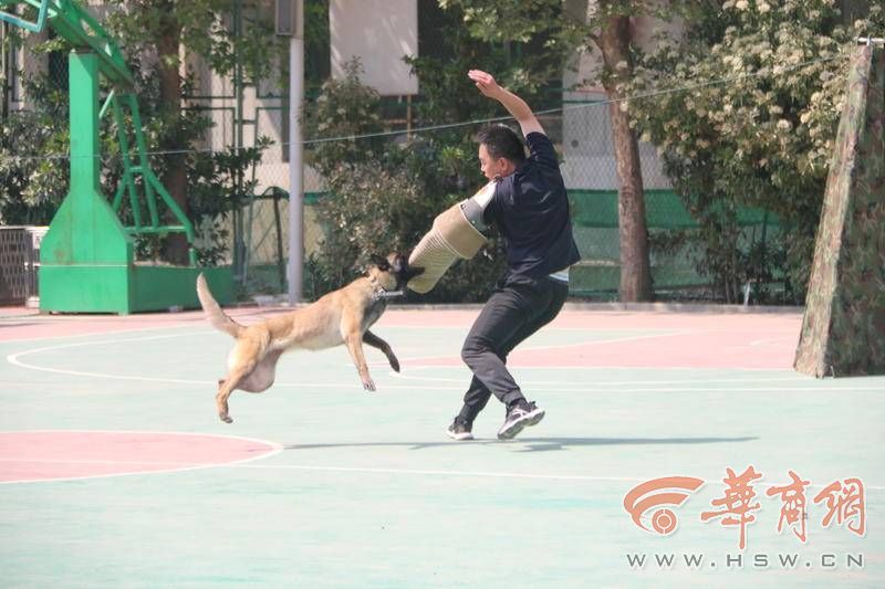 微信图片_20230419183855.jpg