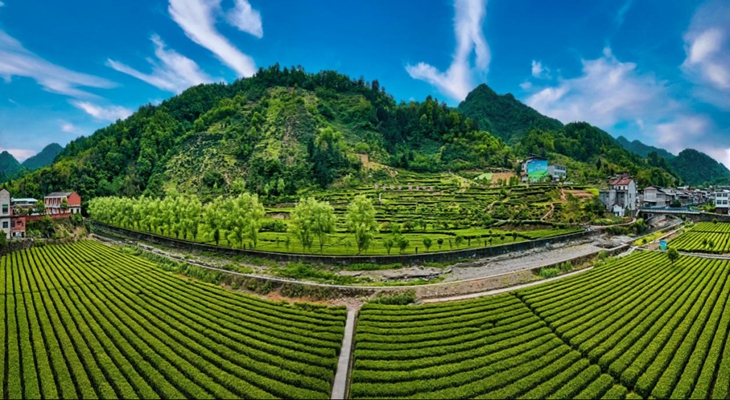 华商头条|陕西20条茶旅融合精品景点线路推介发布