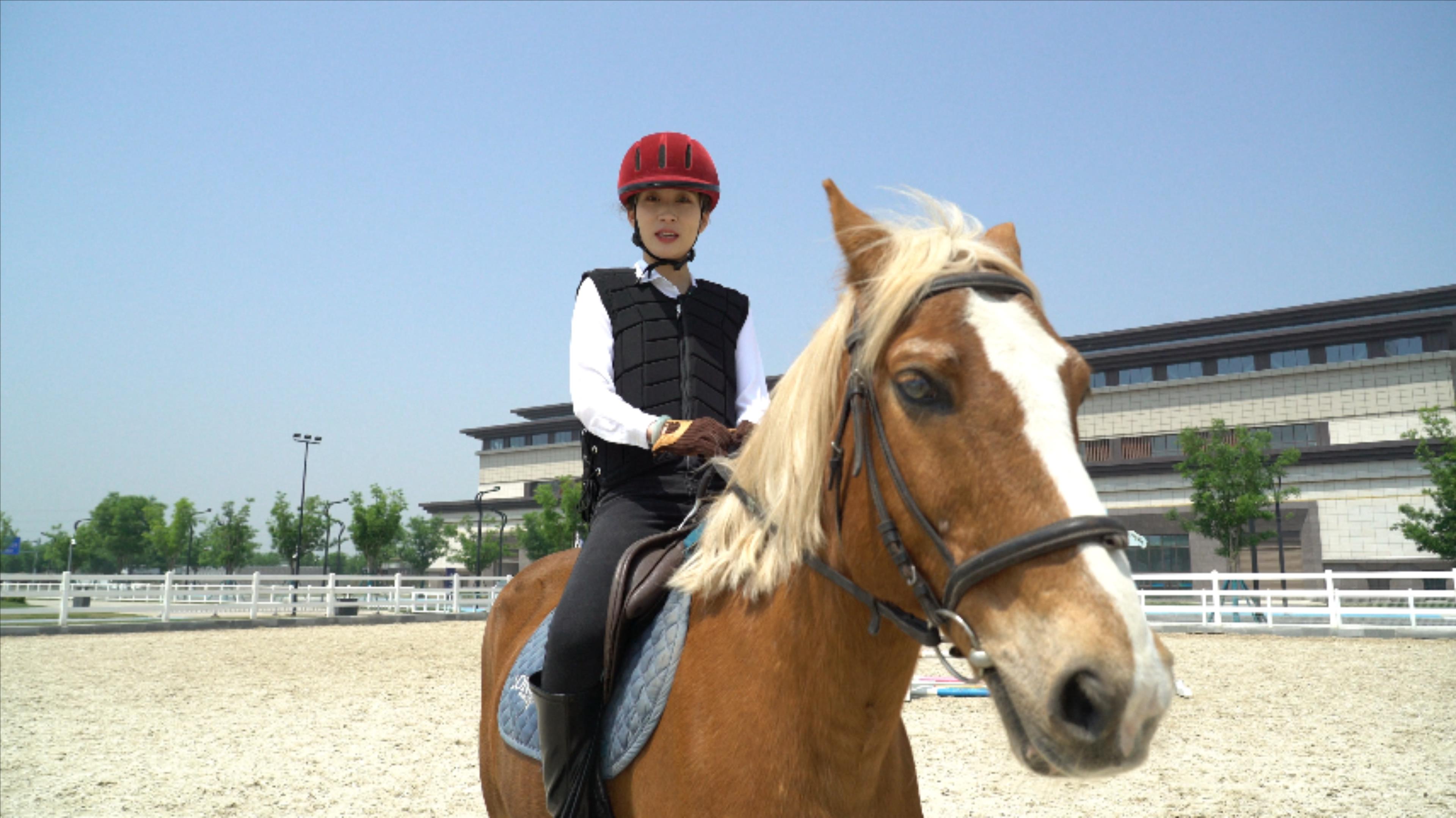 【城市体验官】在秦汉国际马术中心与马儿一起飞奔 感受自由与激情的碰撞