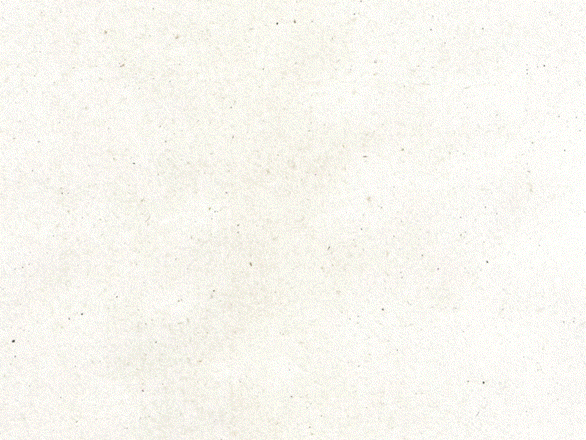 101.gif