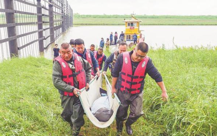 我国首次迁地保护长江江豚放归 专家：目前或已适应新环境