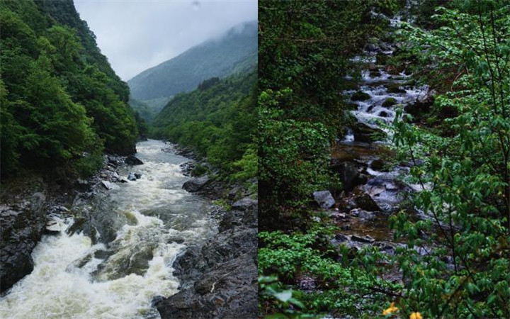 陕西：黑河雨中奔流“迎接”夏季 生机勃勃
