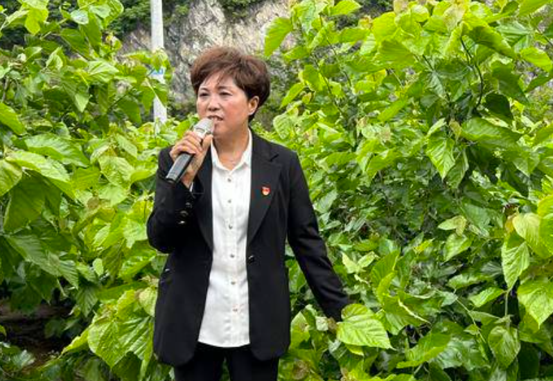 “青山绿水就是金饭碗” “秦巴妹子”为自己创出好日子