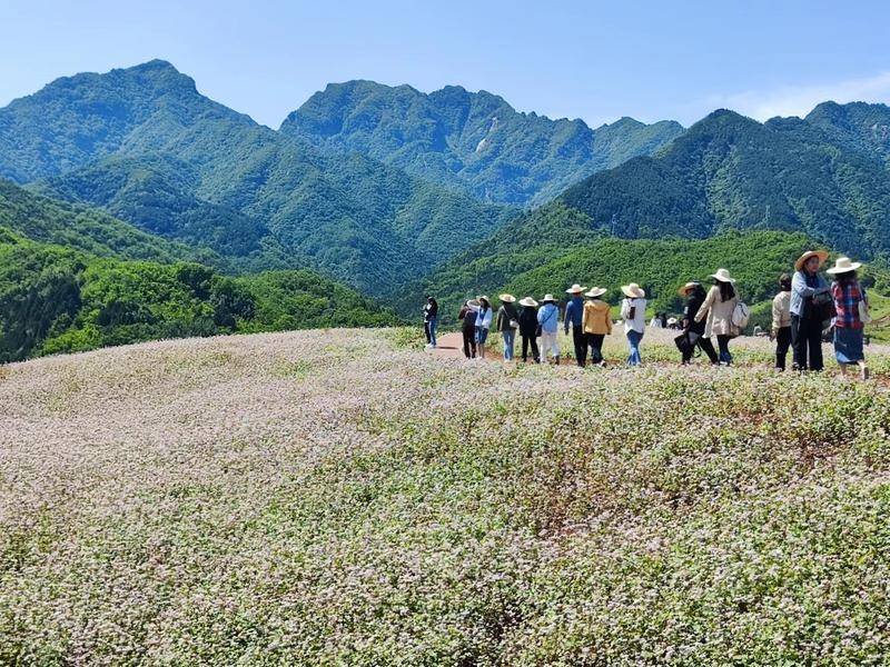 旅游、民宿、美食 蓝田县打造众多IP助力乡村振兴