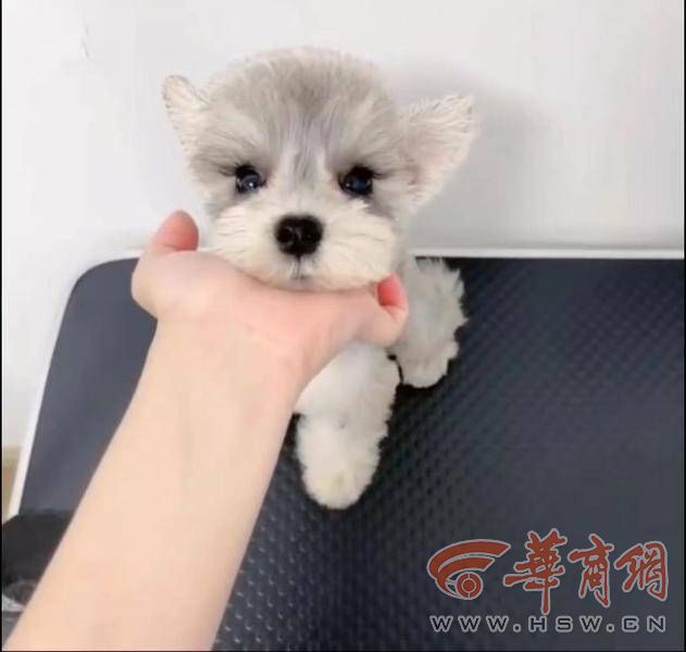 微信图片_20230526154736.jpg