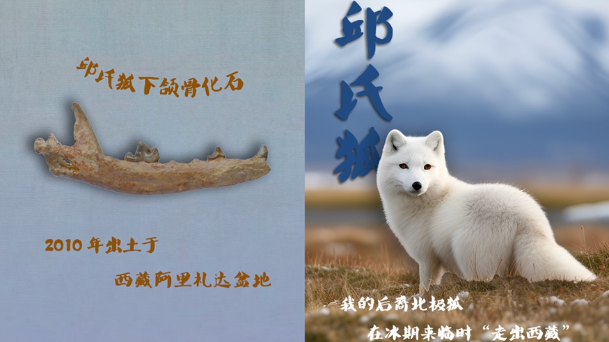 翻转时光！看看亿万年前的它们长啥样