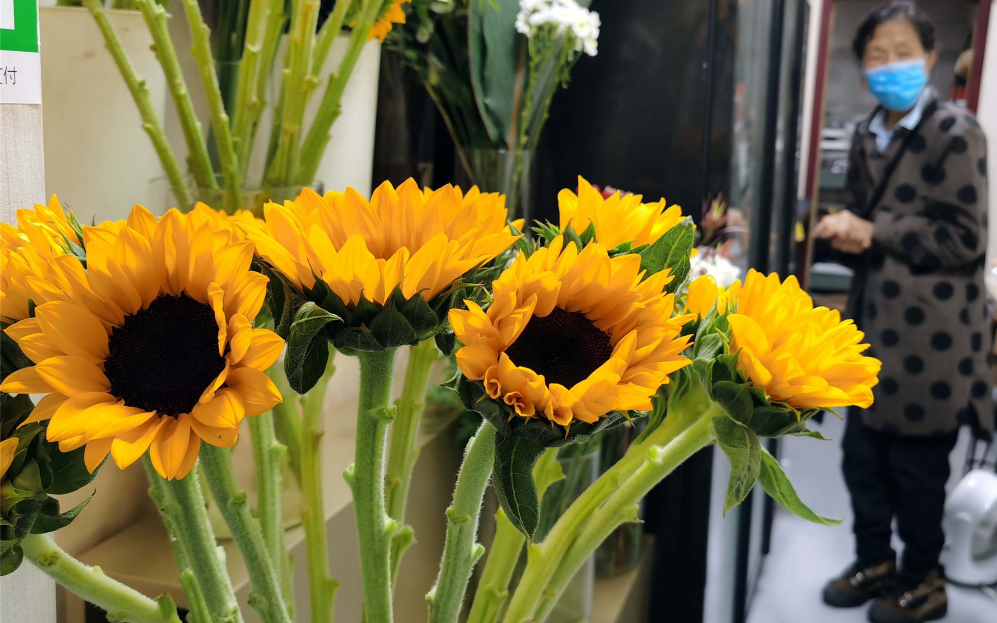 高考仪式感！西安考点周边的酒店、旗袍店、花店已开始忙碌